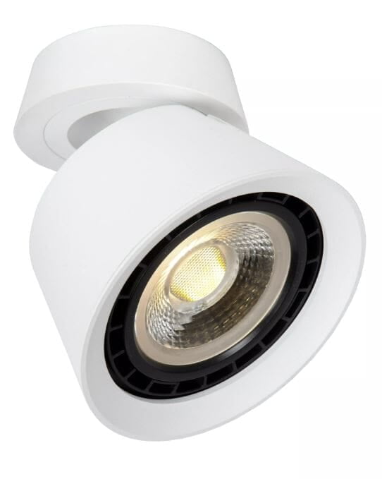 Lenos Adjustable Spotlight